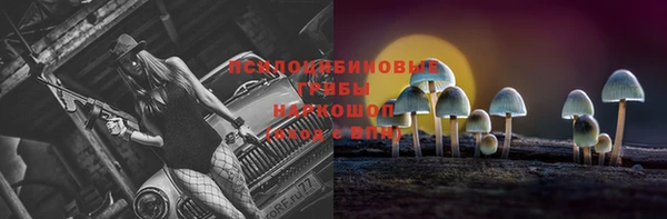 mdpv Белокуриха