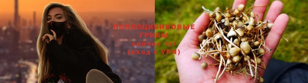 ALPHA-PVP Беломорск