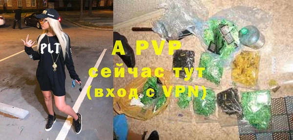 mdpv Белокуриха