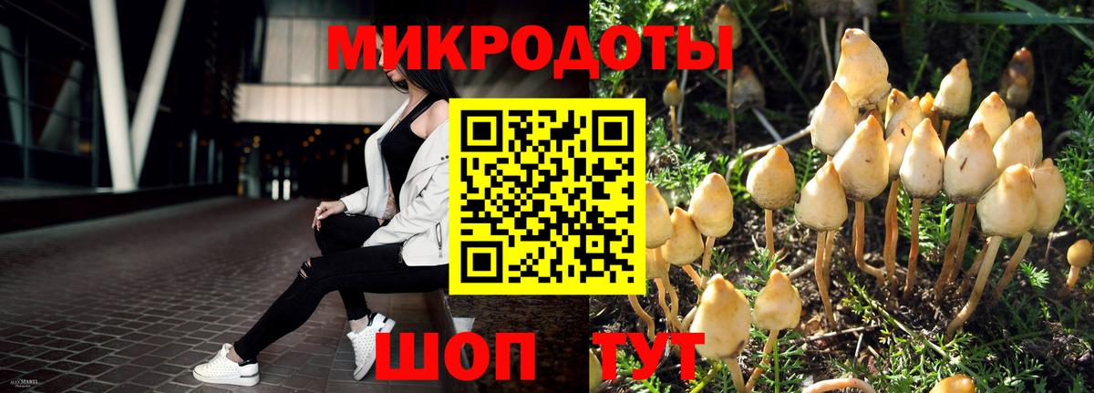 Галлюциногенные грибы GOLDEN TEACHER Кстово