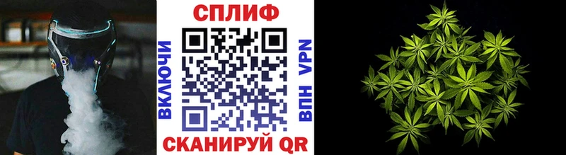 Бошки Шишки семена сколько стоит площадка телеграм Кстово
